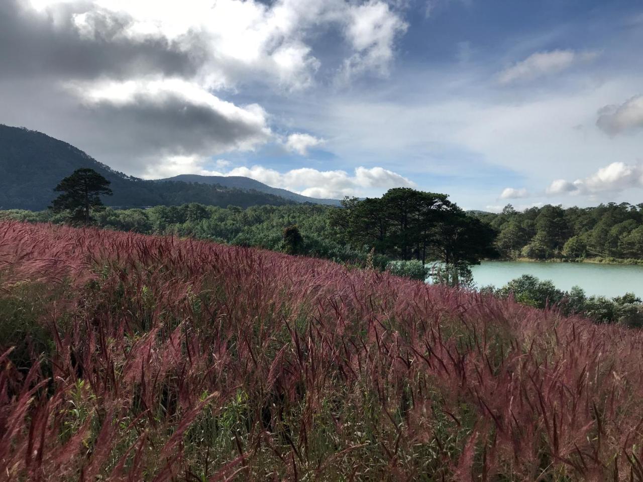 My Anh Guest House ダラット エクステリア 写真